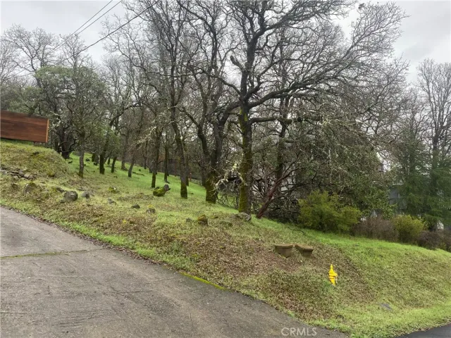 a big yard with lots of green space and deers