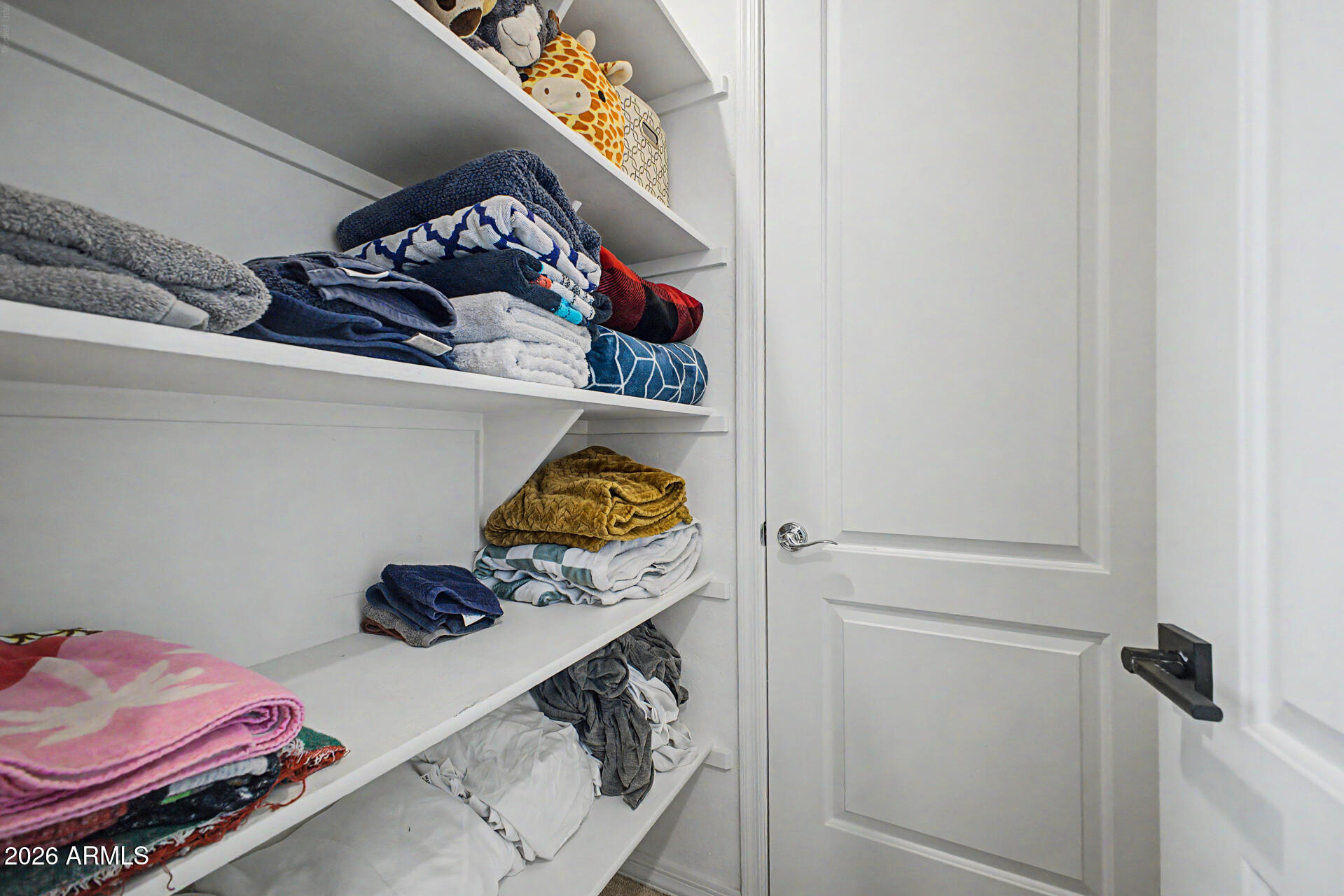 3940 East Turley Street Gilbert, AZ 85295 - Photo 30 of 50 a room with storage and utility racks