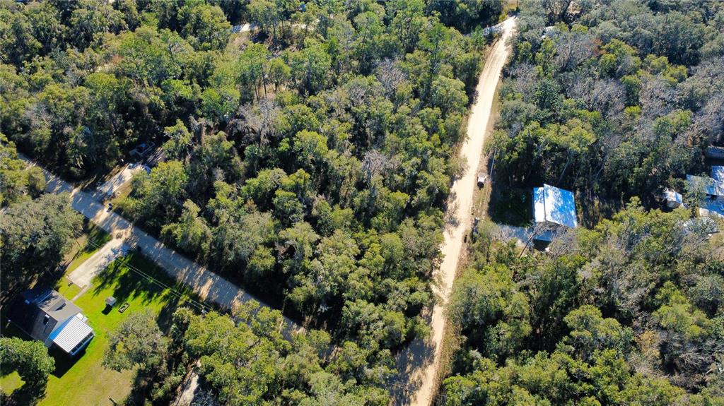 110 Leeward Road Satsuma, FL 32189 - Photo 3 of 18