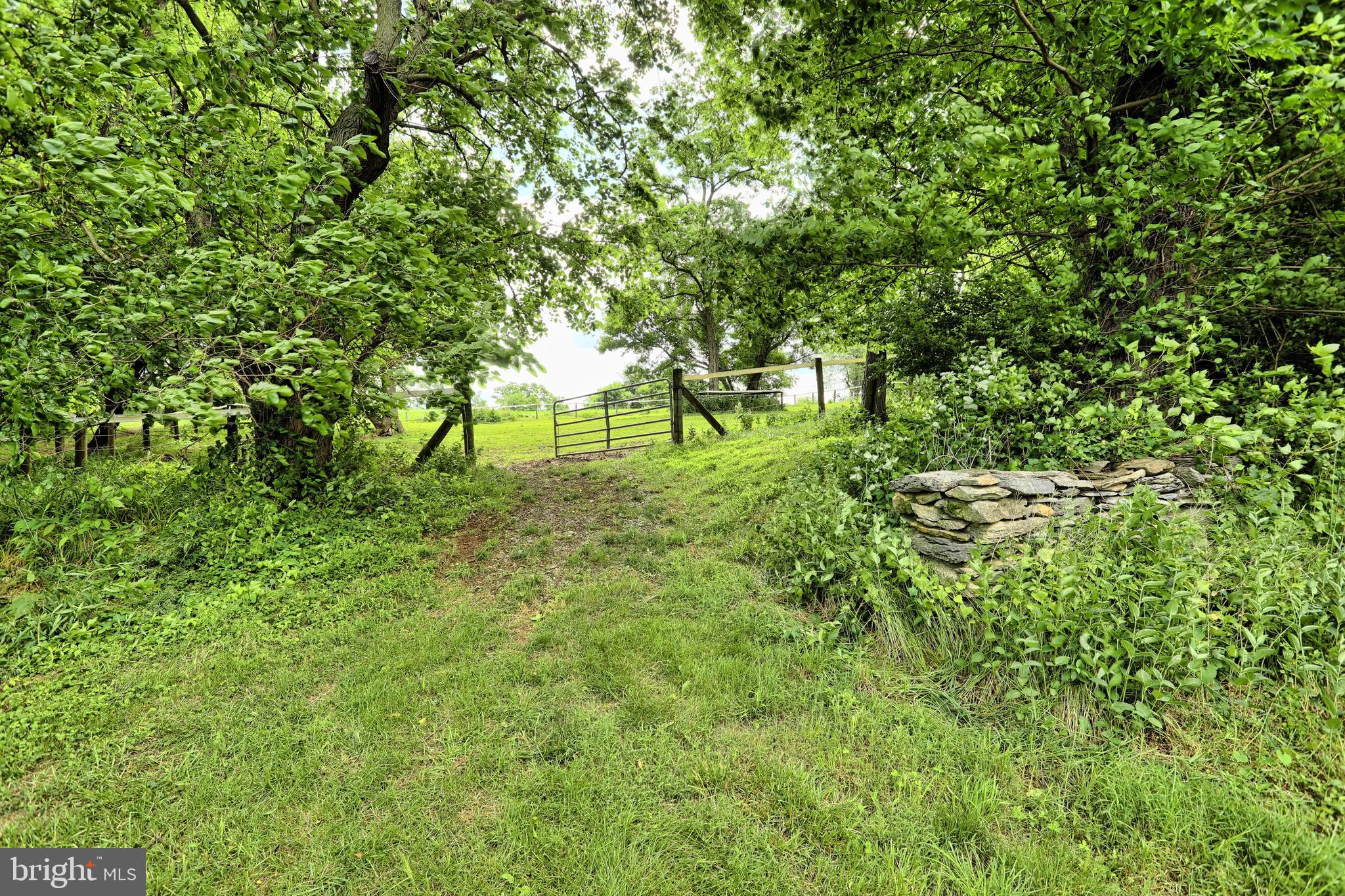 1446 Lutztown Road Boiling Springs, PA 17007 - Photo 21 of 104 Gallery Image 21