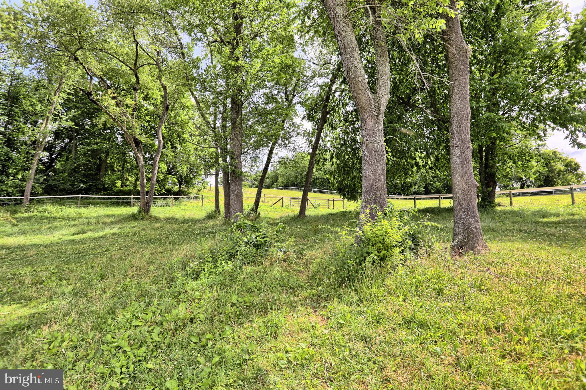 1446 Lutztown Road Boiling Springs, PA 17007 - Photo 27 of 104 Gallery Image 27
