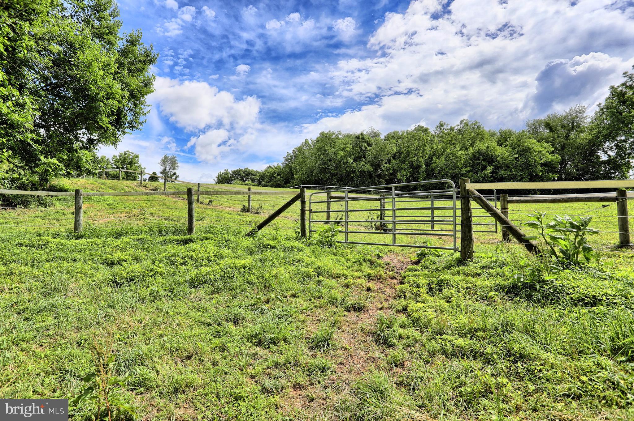 1446 Lutztown Road Boiling Springs, PA 17007 - Photo 28 of 104 Gallery Image 28