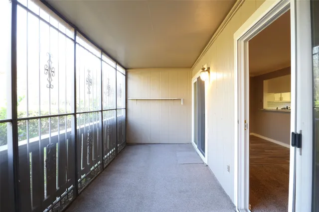 a view of garden with trees