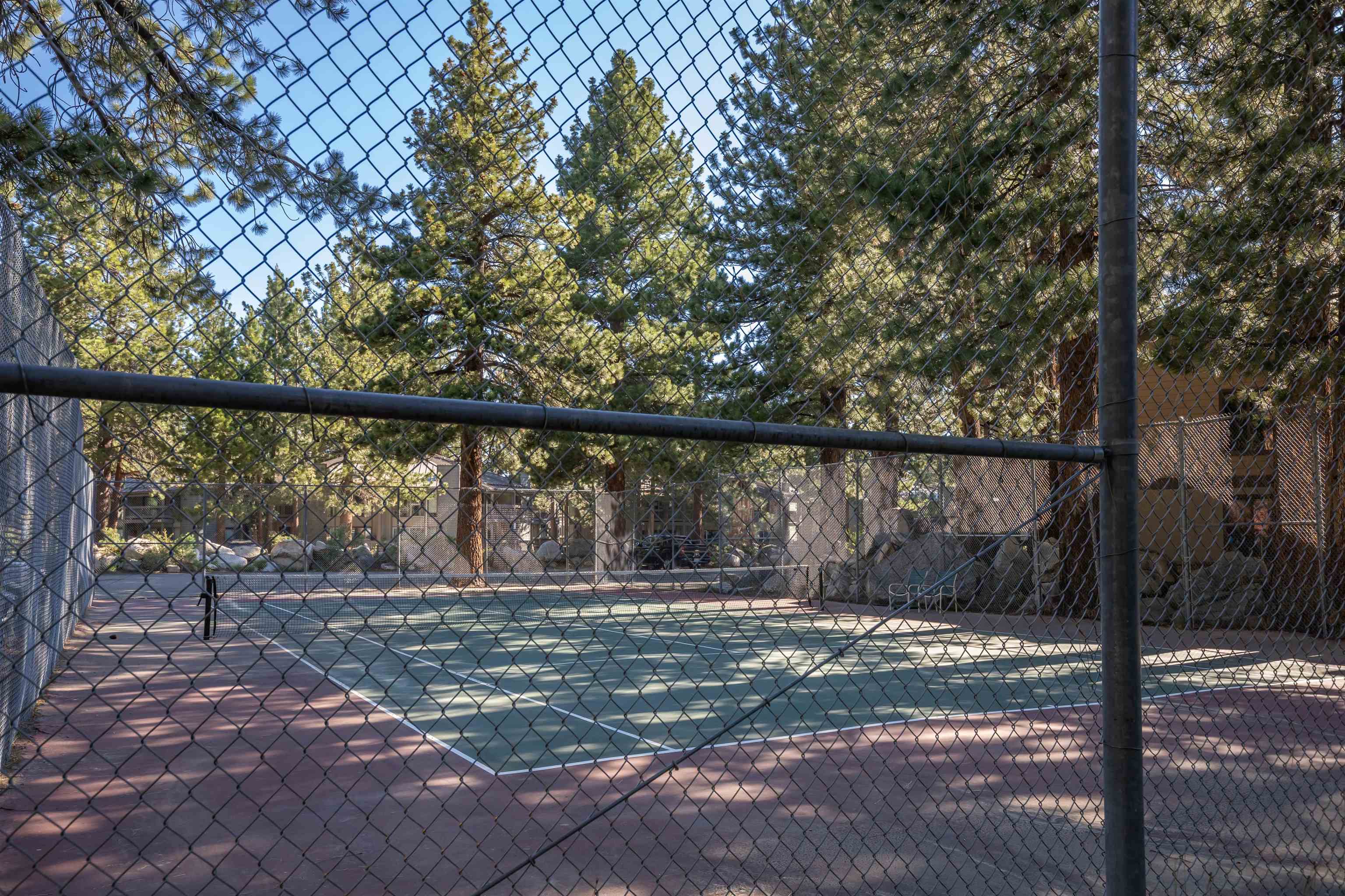 362 Old Mammoth Road, Unit 58 Mammoth Lakes, CA 93546 - Photo 23 of 26 a view of a yard with a tree