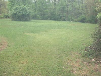 2441 Delabole Road Bangor, PA 18013 - Photo 2 of 4 Acreage to the right past the pond.