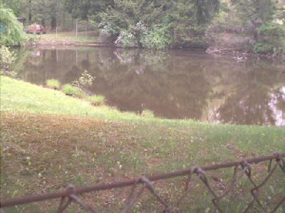 2441 Delabole Road Bangor, PA 18013 - Photo 3 of 4 Pond Setting.