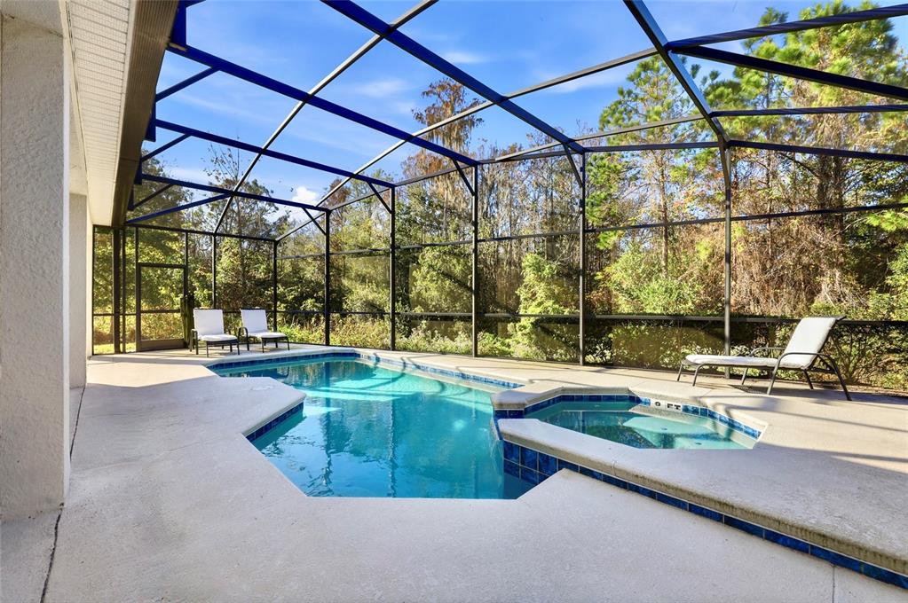 4569 Cabello Loop Kissimmee, FL 34746 - Photo 27 of 39