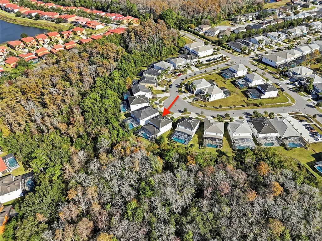 4569 Cabello Loop Kissimmee, FL 34746 - Photo 36 of 39