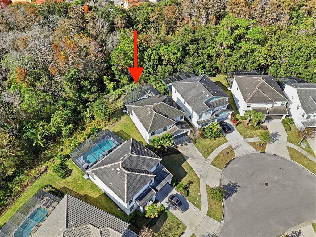 4569 Cabello Loop Kissimmee, FL 34746 - Photo 37 of 39