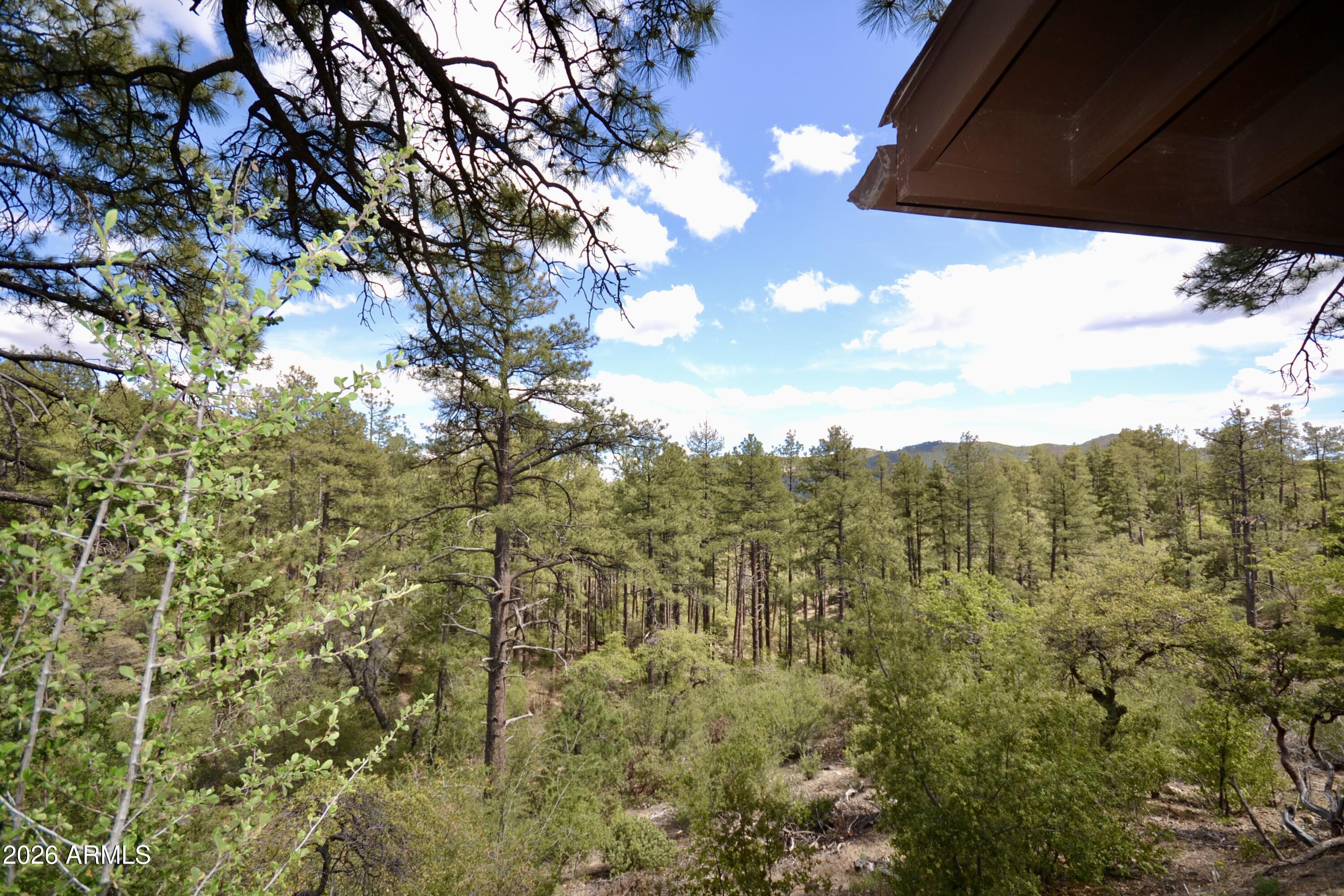 23617 South Demascus Road Crown King, AZ 86343 - Photo 16 of 50 a view of a lot of a tree