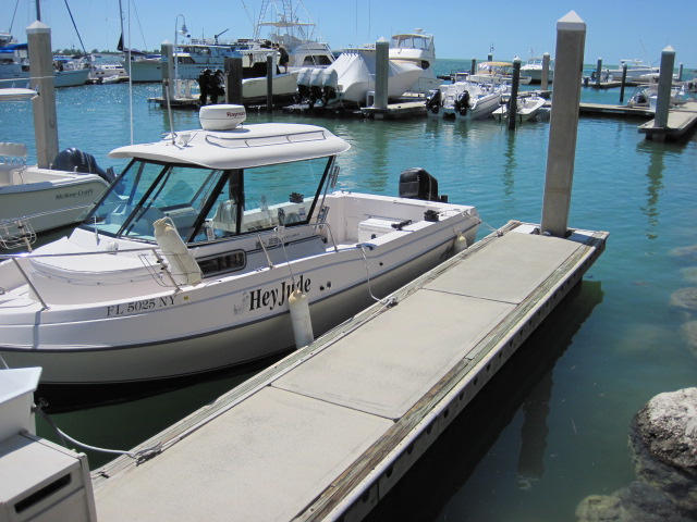 marlin2