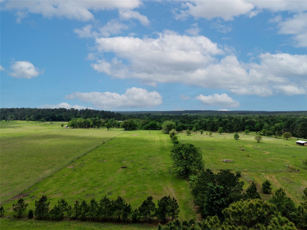 a view of a lush green field