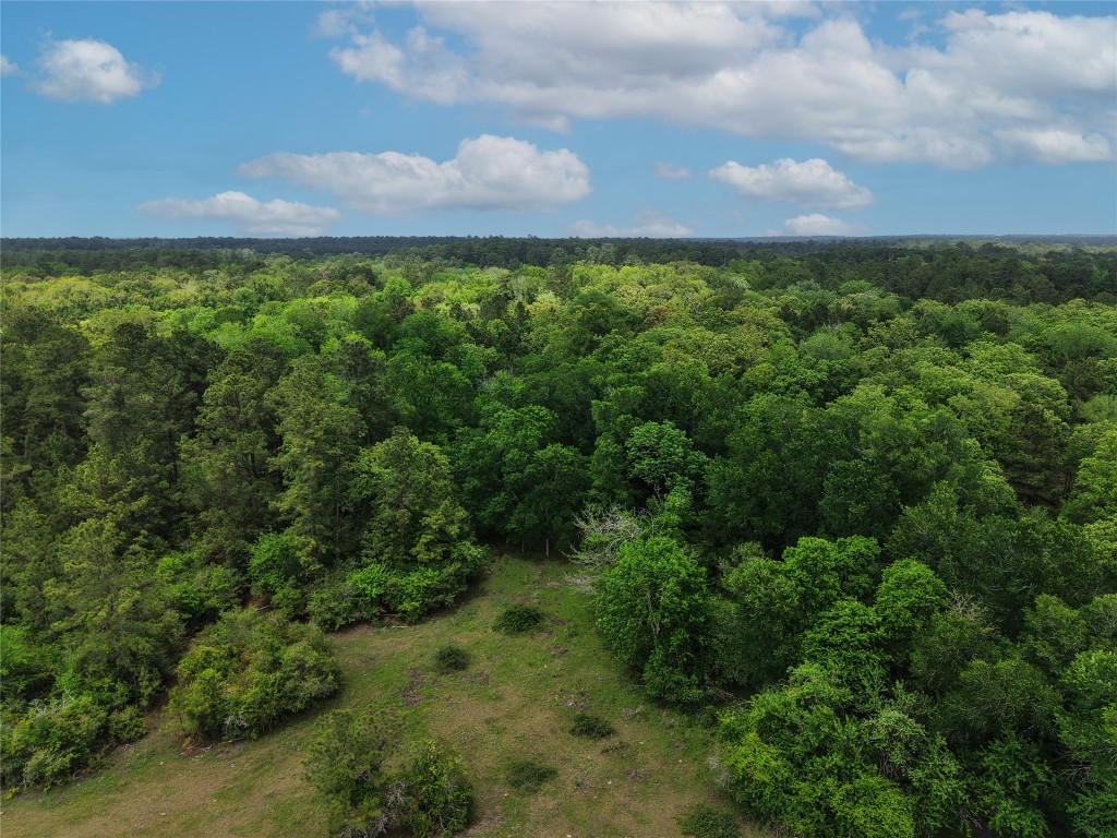 1791 Rd Richards Tx 77873 Road Richards, TX 77873 - Photo 16 of 25 a view of a yard