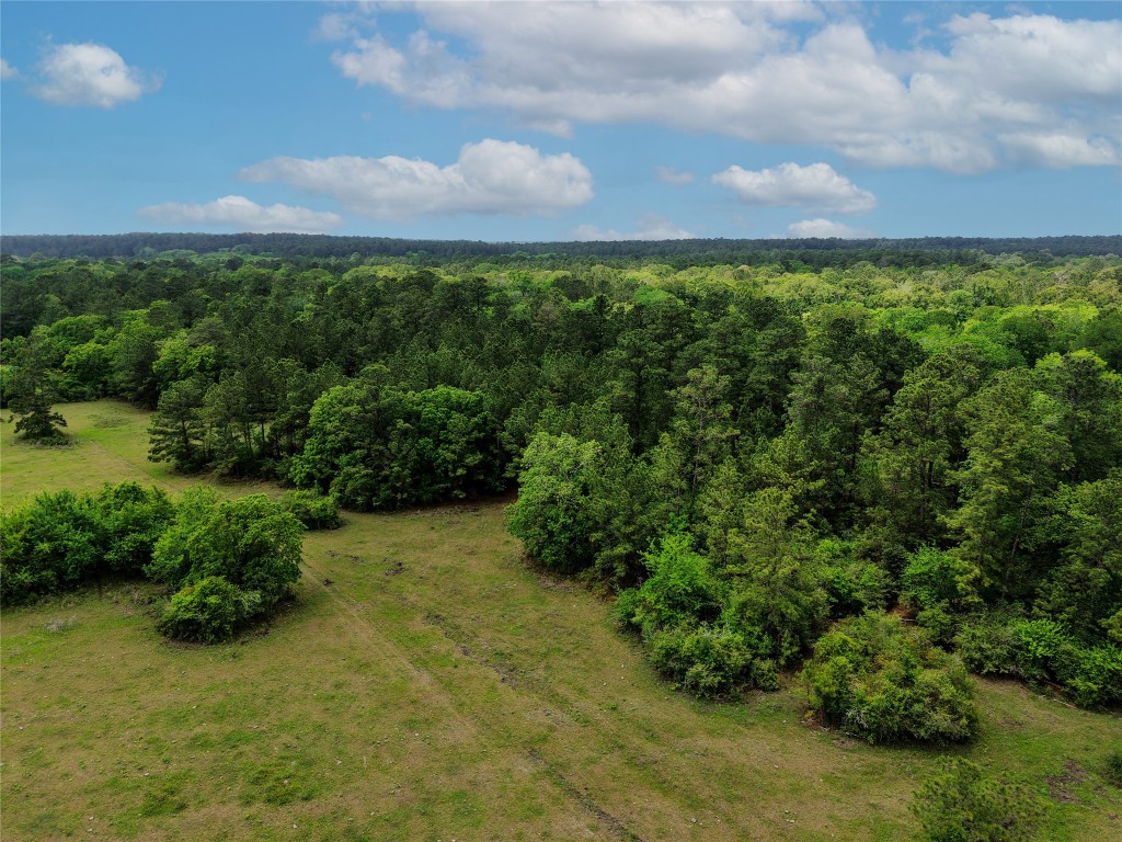 1791 Rd Richards Tx 77873 Road Richards, TX 77873 - Photo 17 of 25 a view of a yard