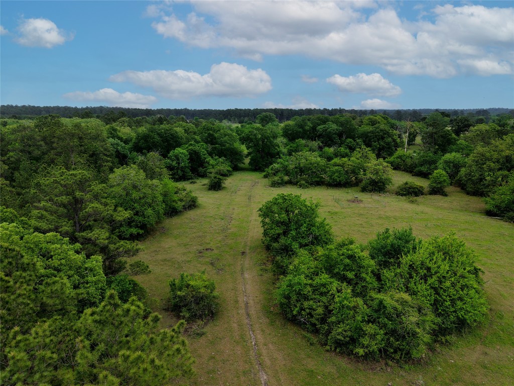 1791 Rd Richards Tx 77873 Road Richards, TX 77873 - Photo 19 of 25 an aerial view of residential houses with outdoor space and trees all around