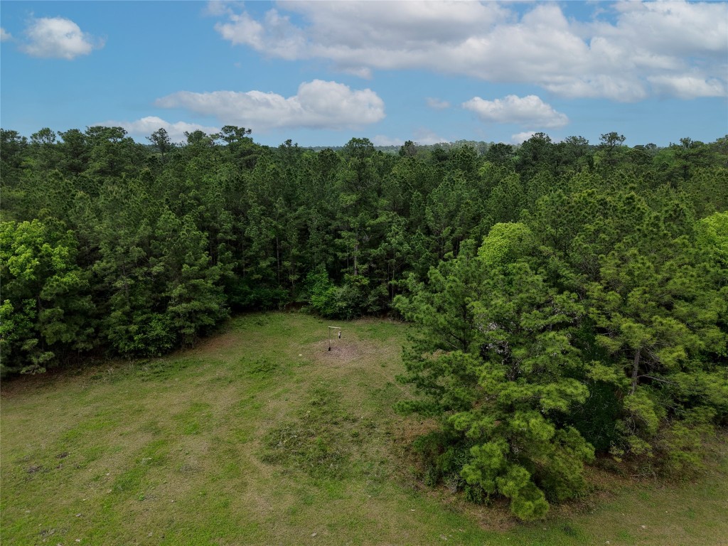 1791 Rd Richards Tx 77873 Road Richards, TX 77873 - Photo 20 of 25 an aerial view of a yard