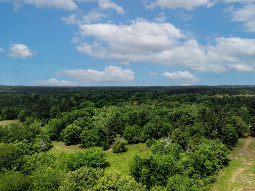 1791 Rd Richards Tx 77873 Road Richards, TX 77873 - Photo 2 of 25 a view of a city with lush green forest