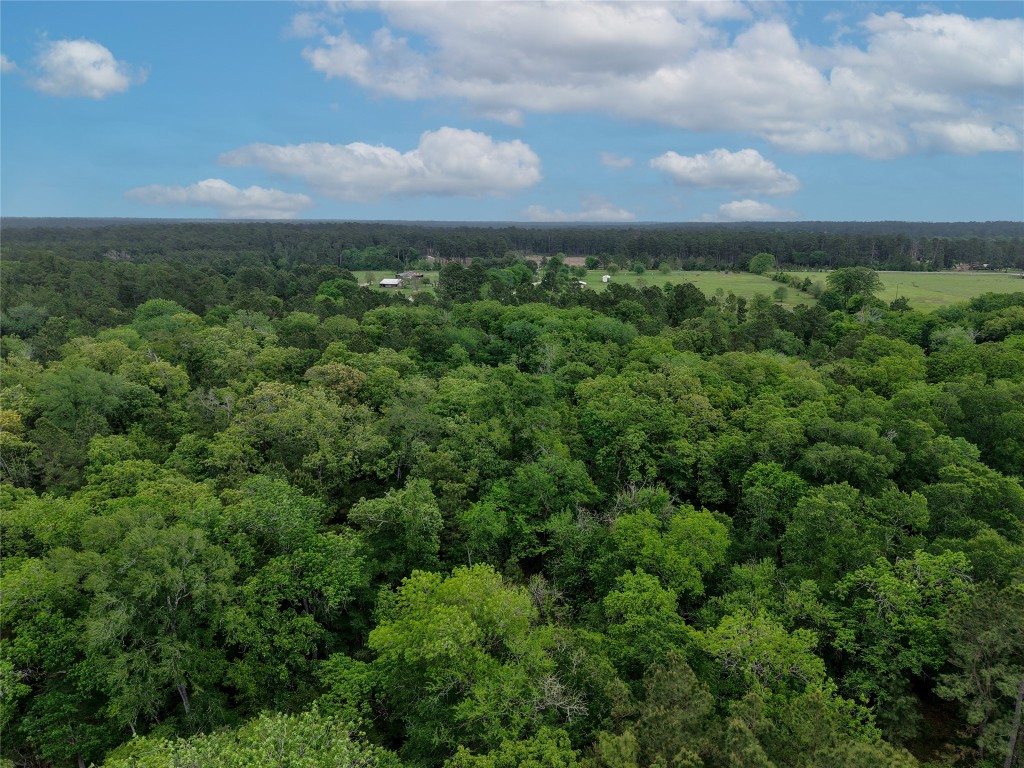 1791 Rd Richards Tx 77873 Road Richards, TX 77873 - Photo 21 of 25 an aerial view of houses covered in trees