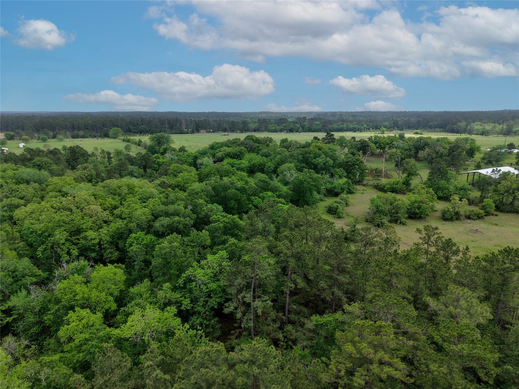 1791 Rd Richards Tx 77873 Road Richards, TX 77873 - Photo 22 of 25 a view of a bunch of trees in a field