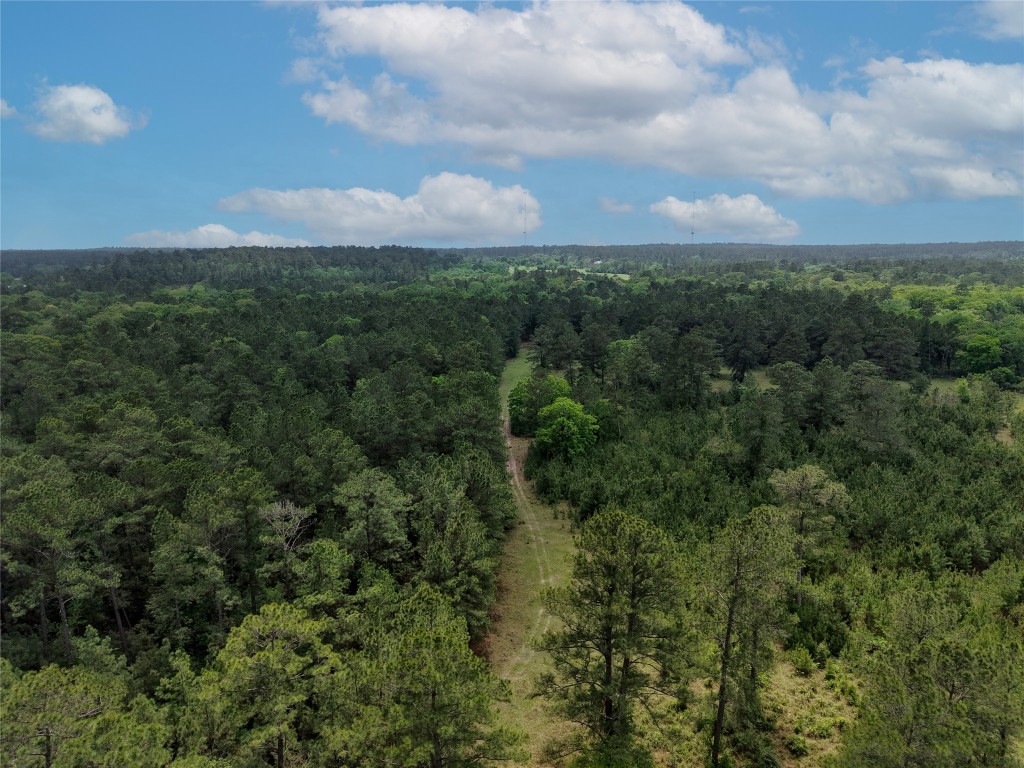 1791 Rd Richards Tx 77873 Road Richards, TX 77873 - Photo 23 of 25 a view of a city with lush green forest