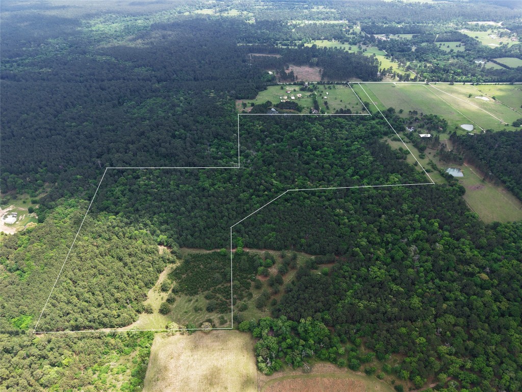 1791 Rd Richards Tx 77873 Road Richards, TX 77873 - Photo 6 of 25 a view of a yard