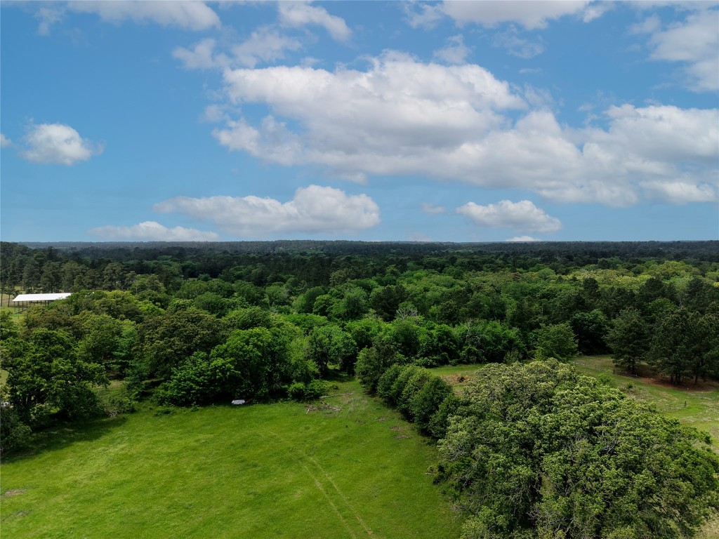 1791 Rd Richards Tx 77873 Road Richards, TX 77873 - Photo 7 of 25 a view of a city with lush green forest