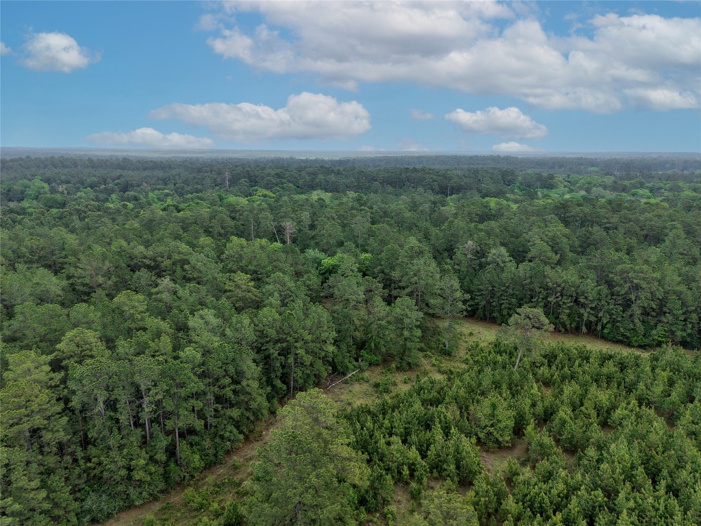 1791 Rd Richards Tx 77873 Road Richards, TX 77873 - Photo 9 of 25 an aerial view of forest