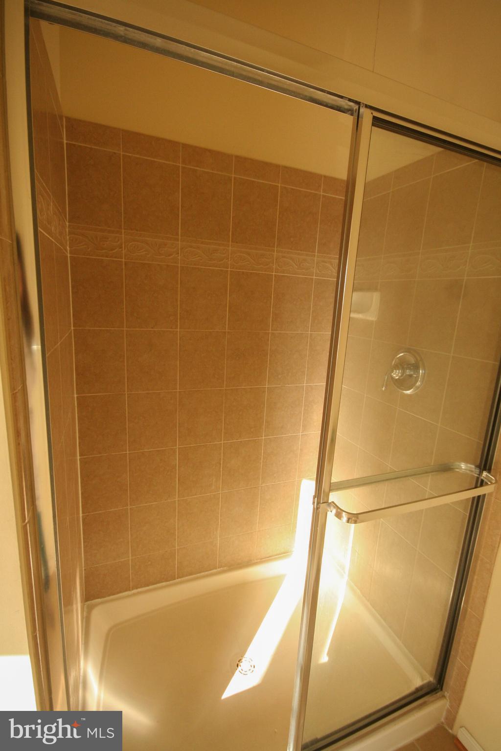 879 Middle River Road Baltimore, MD 21220 - Photo 22 of 33 Master bathroom stall shower