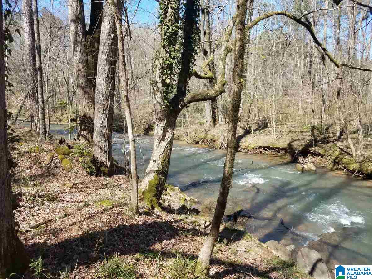 4258 Vfw Road, Unit 6 Pinson, AL 35126 - Photo 4 of 6