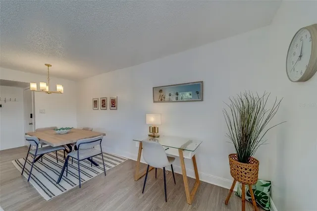 a view of a room with furniture and a potted plant