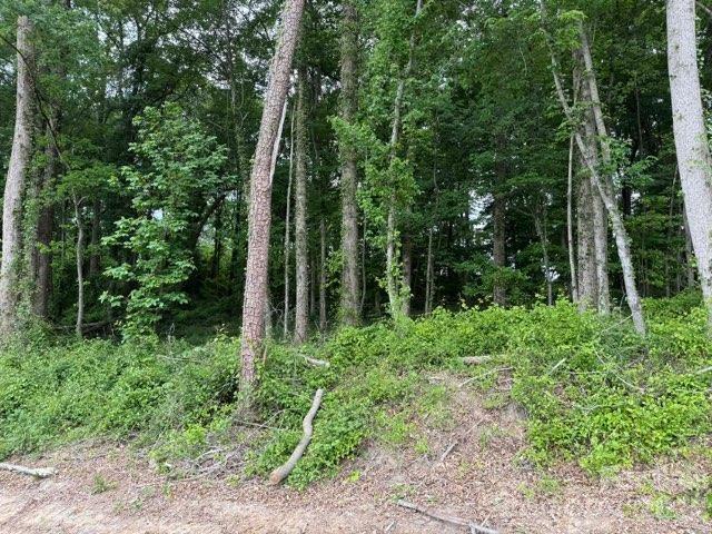 1799 Haire Road Apex, NC 27523 - Photo 2 of 9 a view of outdoor space and green space