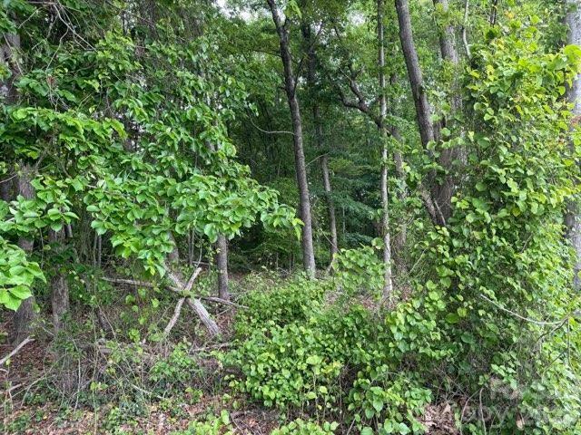 1799 Haire Road Apex, NC 27523 - Photo 4 of 9 a plant view in backyard