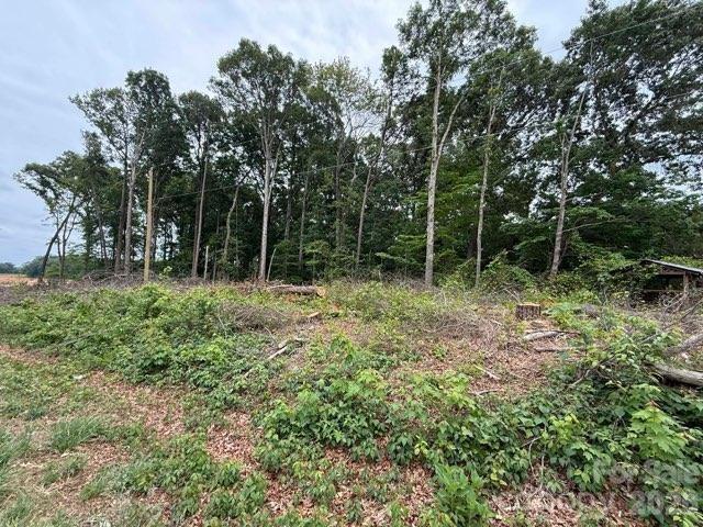 1799 Haire Road Apex, NC 27523 - Photo 5 of 9 a big yard with lots of green space and deers