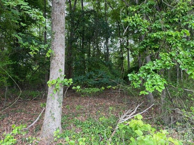 1799 Haire Road Apex, NC 27523 - Photo 8 of 9 a backyard of a house with lots of green space