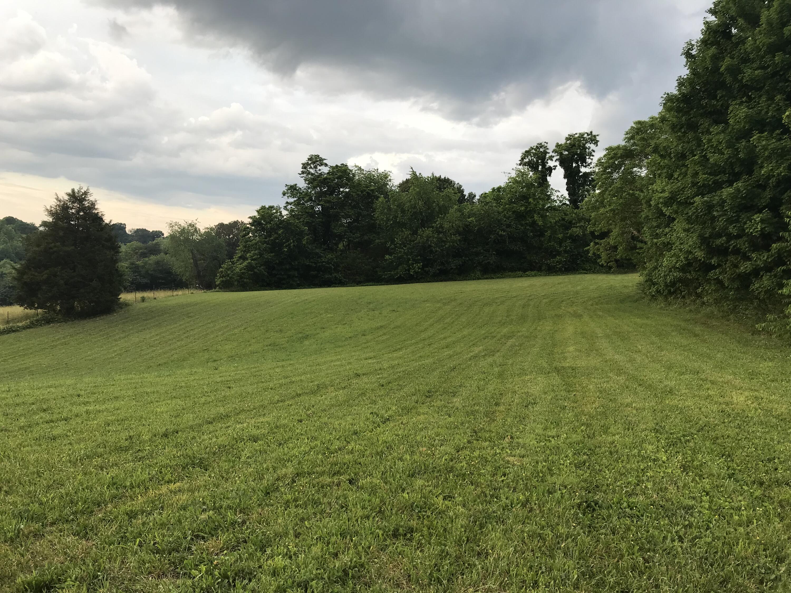 2031 Conklin Road Limestone, TN 37681 - Photo 85 of 86 IMG-29276.