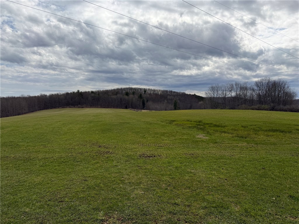 Lot 7 Summit Road Cuba, NY 14727 - Photo 21 of 31