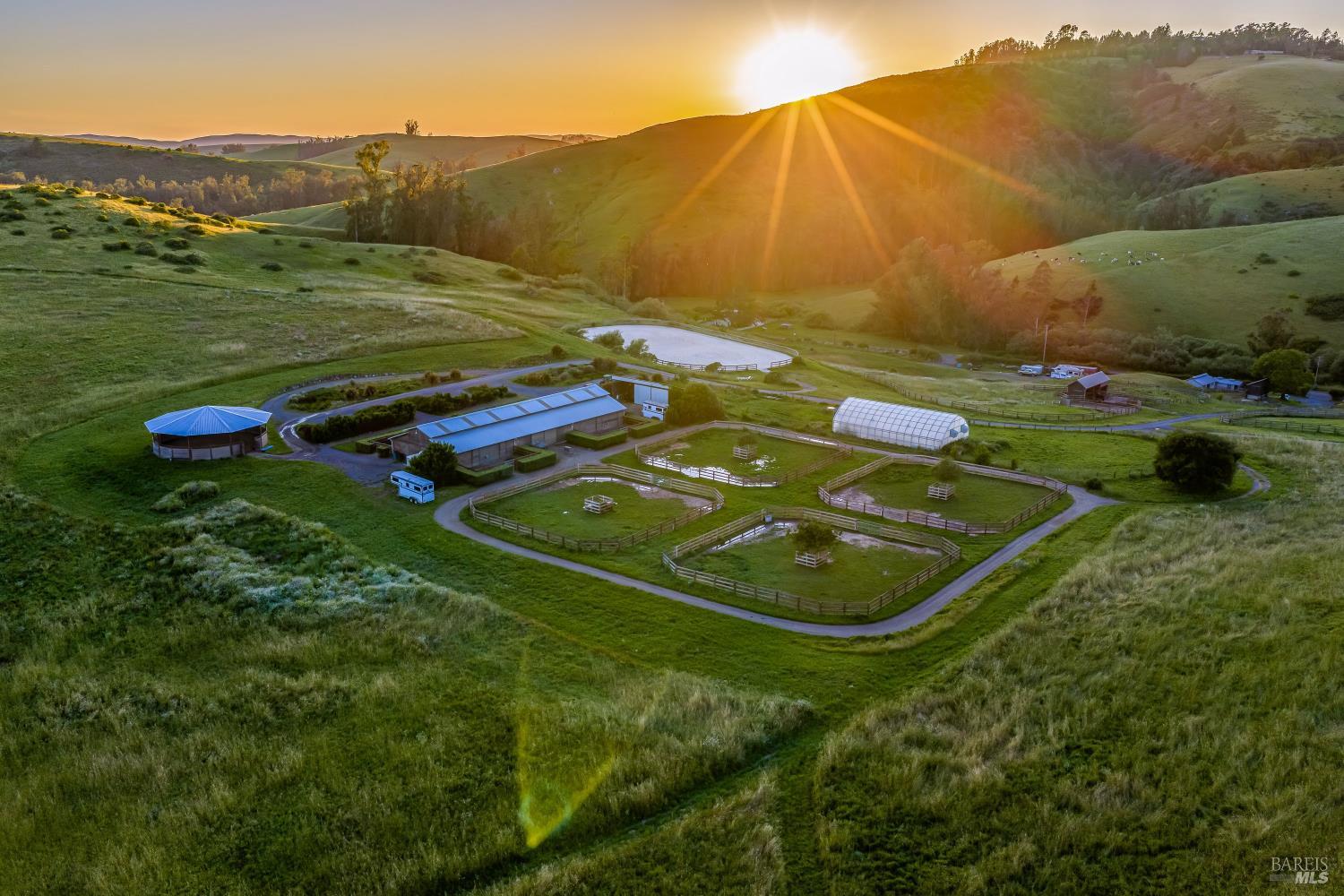 Welcome to Bloomfield Farms!