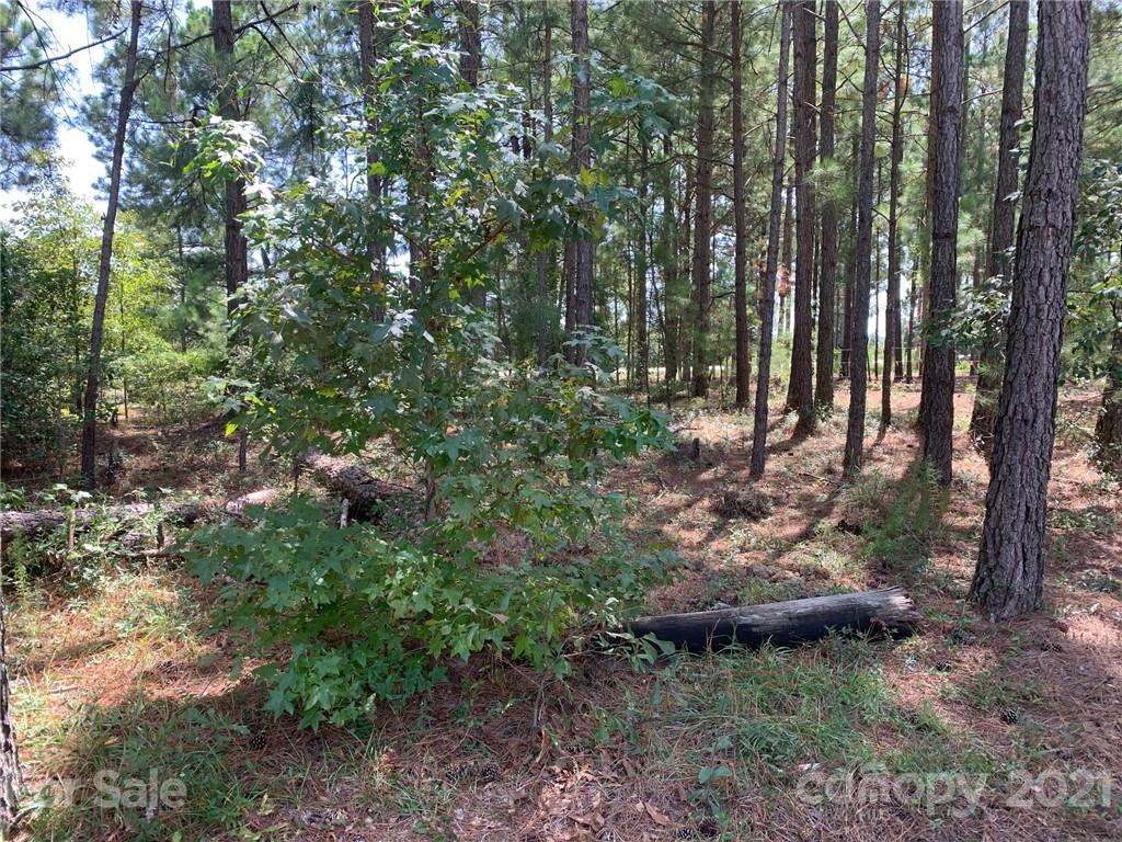 2120 Jones Road Kershaw, SC 29067 - Photo 5 of 32 Gallery Image 5