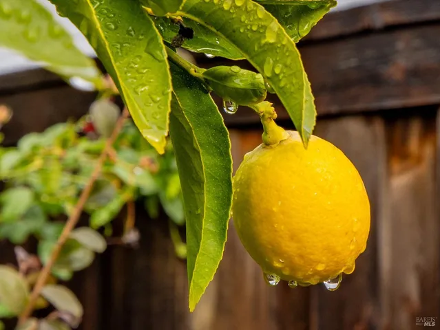 $799,000 | 2036 Newcastle Drive, Vacaville, CA 95687