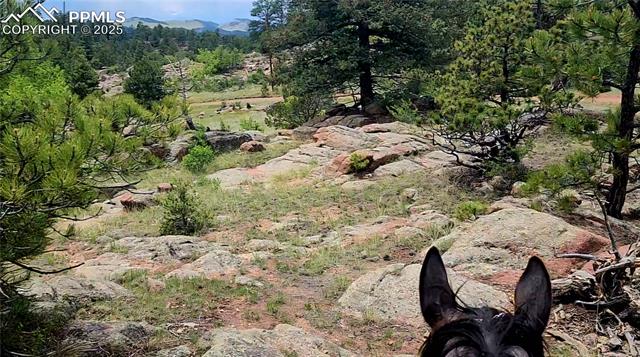 324 Pike View Road Florissant, CO 80816 - Photo 15 of 23