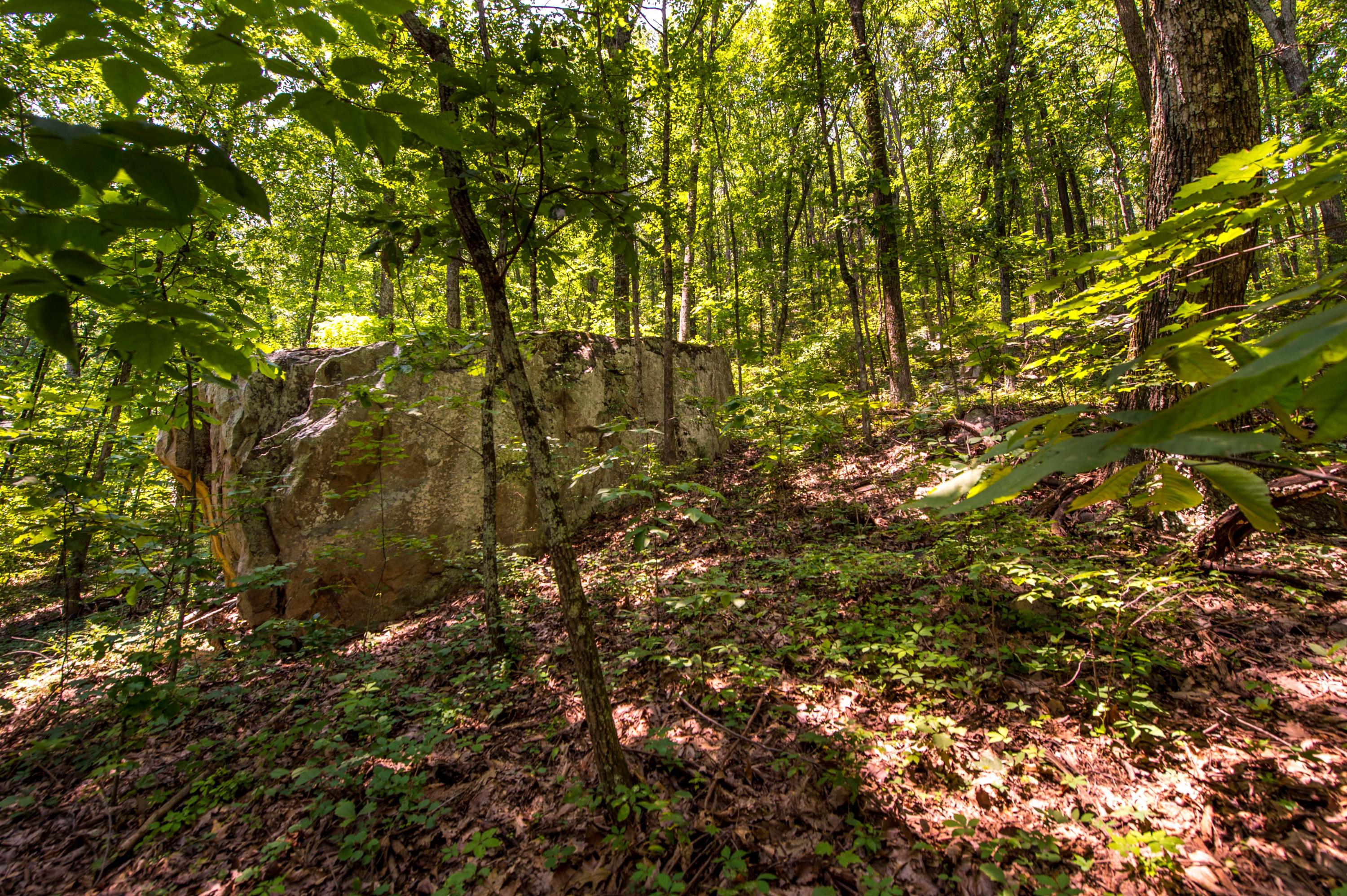 4117 W Road Signal Mountain, TN 37377 - Photo 27 of 36 _MG16219