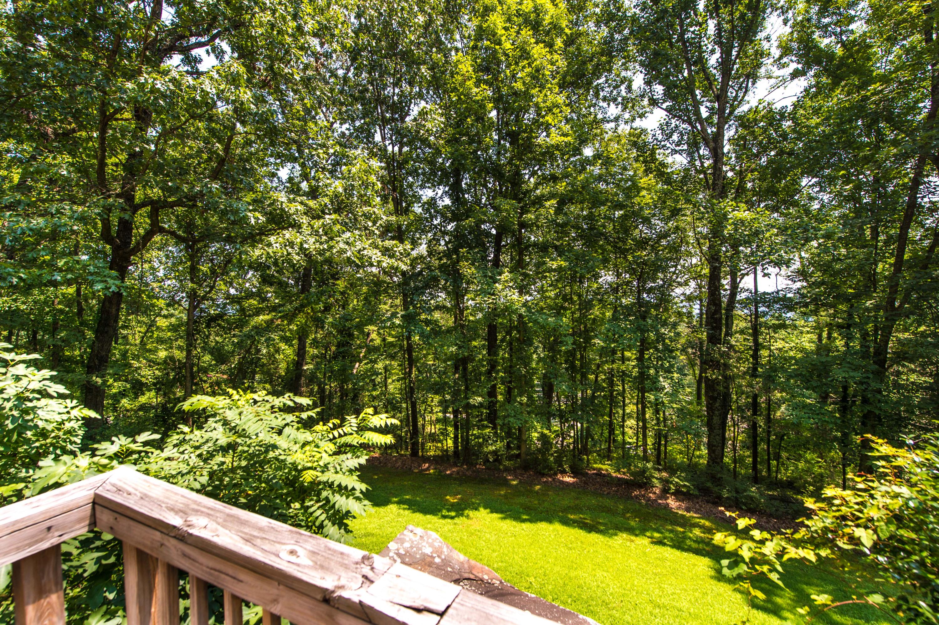 4117 W Road Signal Mountain, TN 37377 - Photo 31 of 36 _MG16237