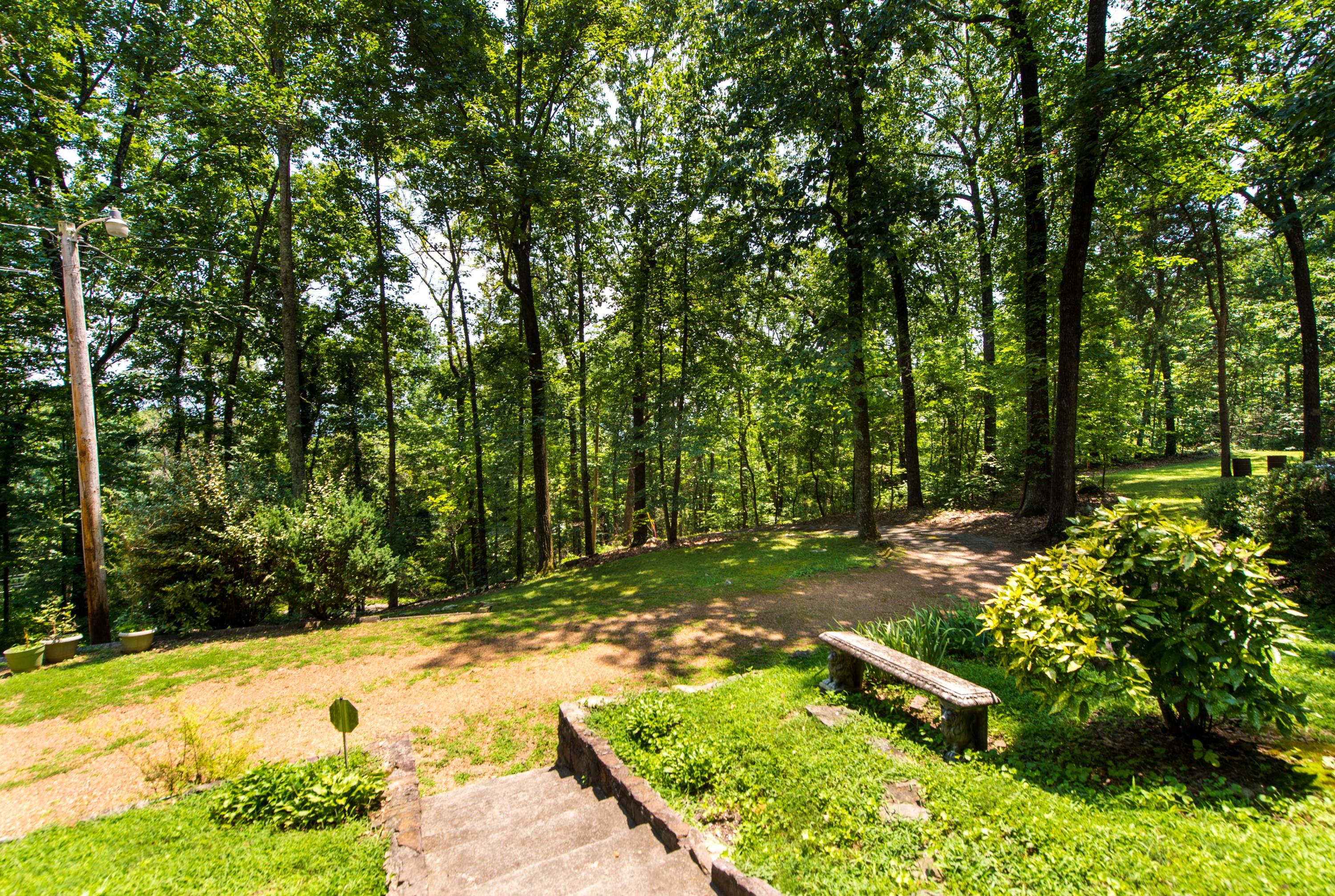 4117 W Road Signal Mountain, TN 37377 - Photo 35 of 36 _MG16242