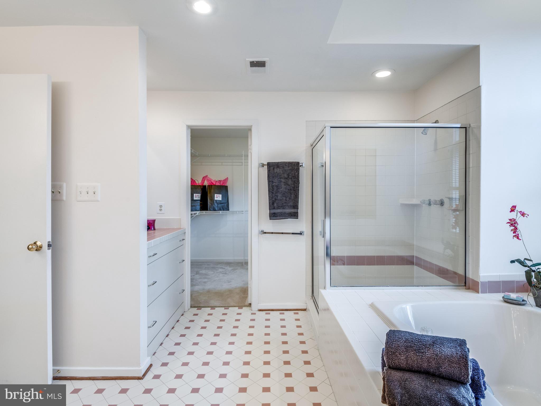 12005 North Walnut Branch Road Reston, VA 20194 - Photo 17 of 28 Bath (Master)