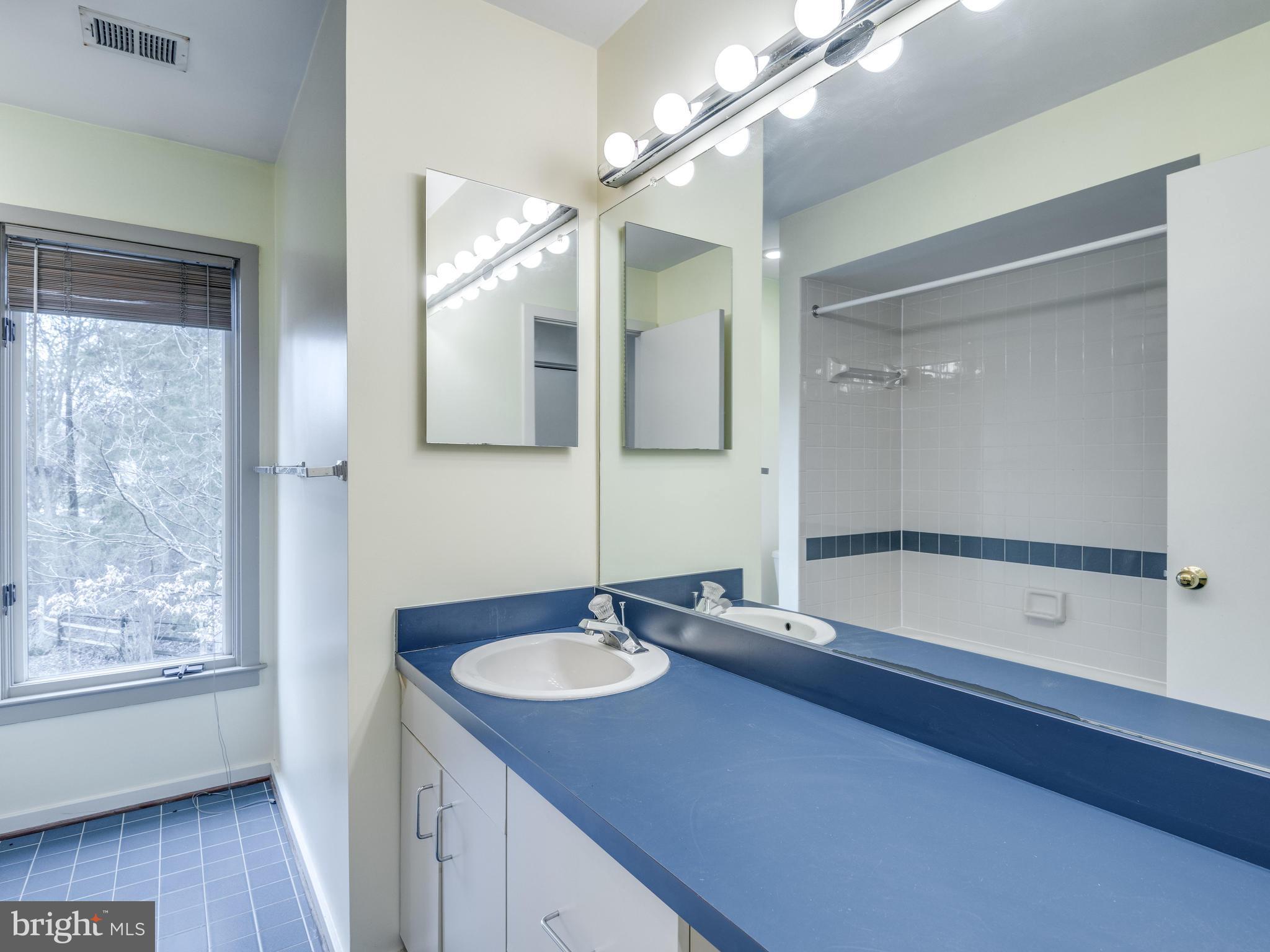 12005 North Walnut Branch Road Reston, VA 20194 - Photo 22 of 28 BathR