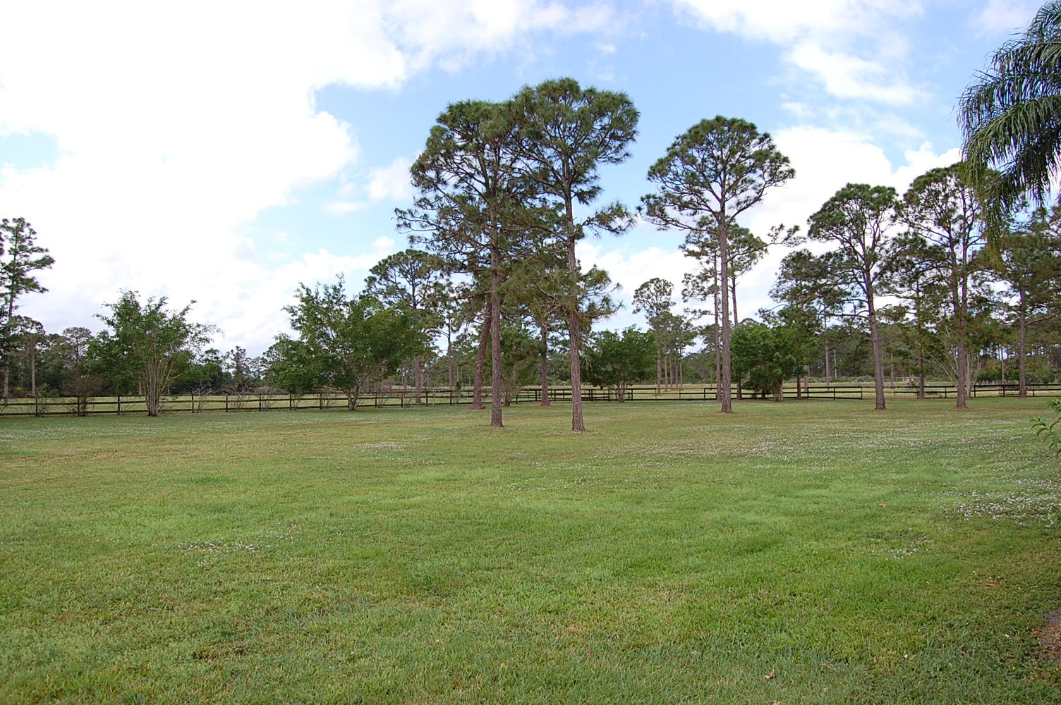1900 Southeast Ranch Road South Jupiter, FL 33478 - Photo 1 of 7 DSC_0409