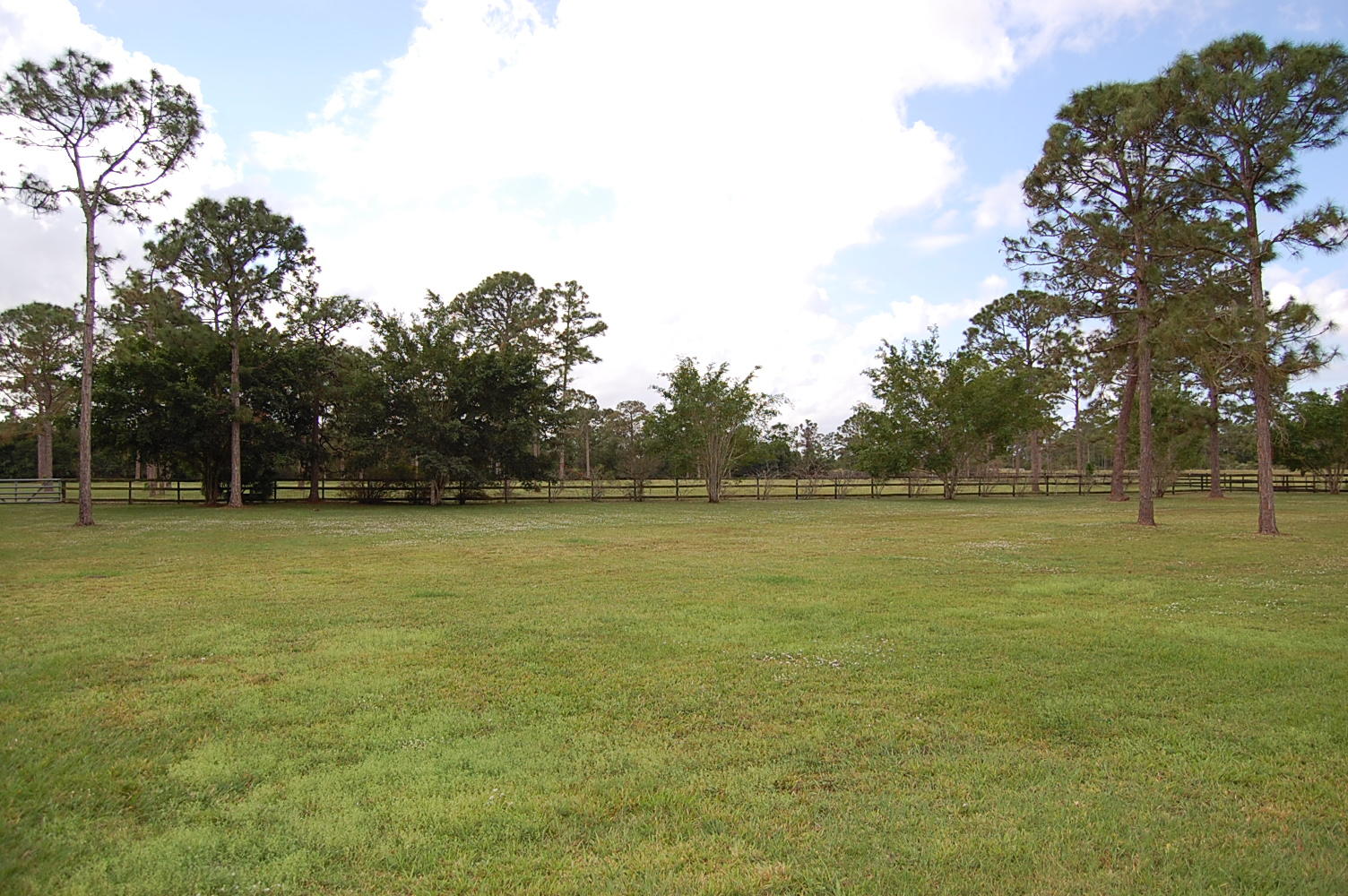 1900 Southeast Ranch Road South Jupiter, FL 33478 - Photo 3 of 7 DSC_0410
