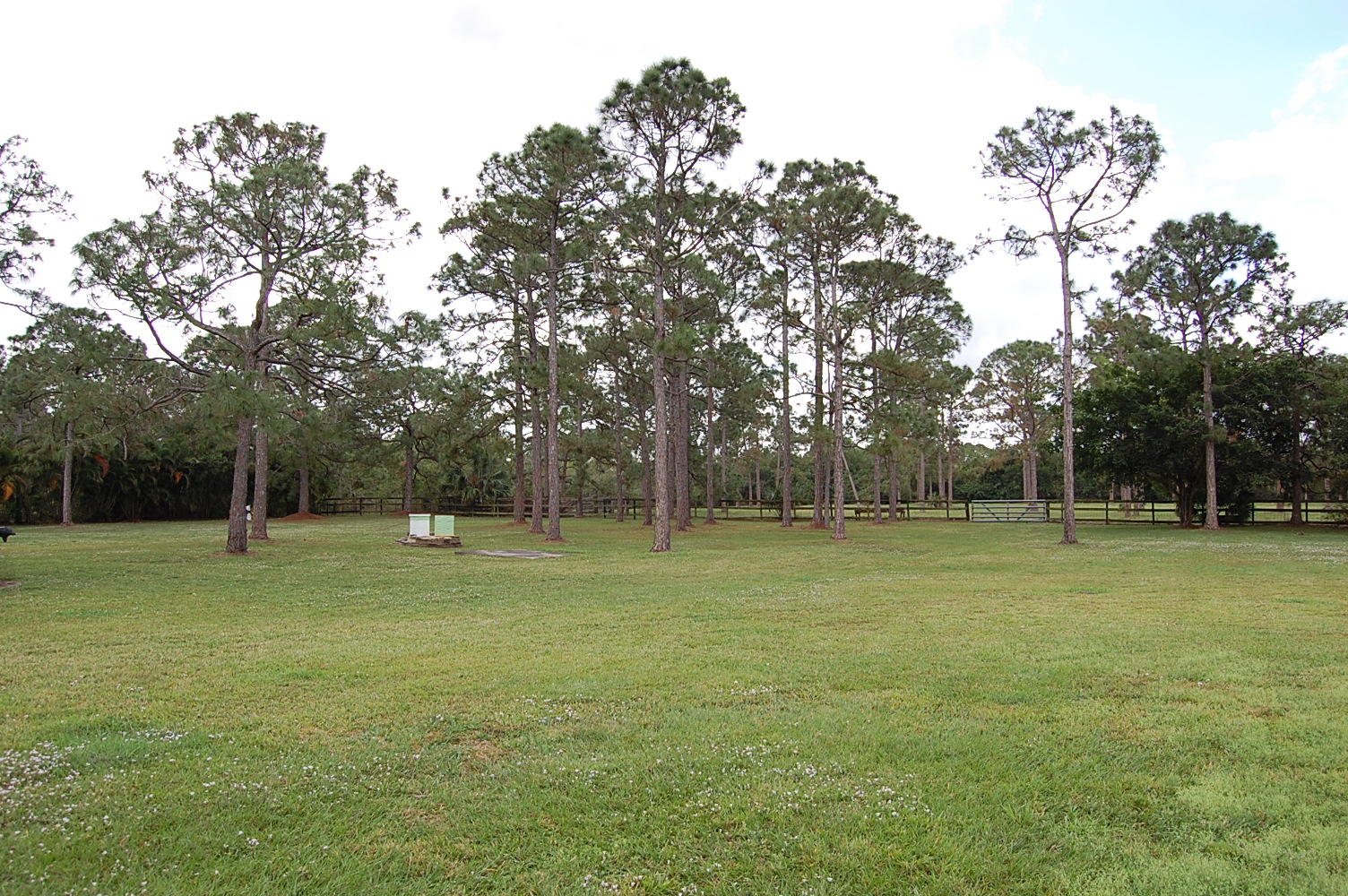 1900 Southeast Ranch Road South Jupiter, FL 33478 - Photo 4 of 7 DSC_0411