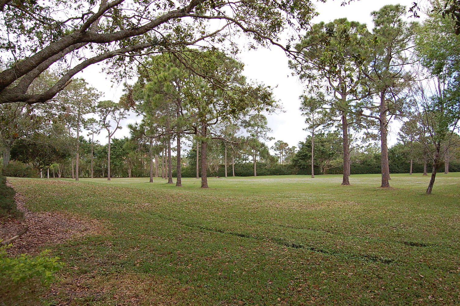 1900 Southeast Ranch Road South Jupiter, FL 33478 - Photo 6 of 7 DSC_0414