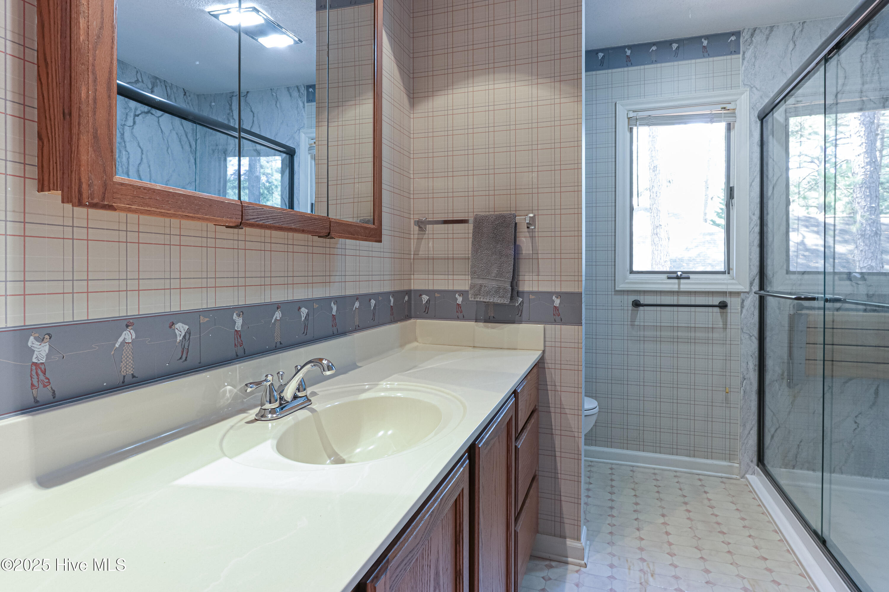 180 Pine Vista Drive Pinehurst, NC 28374 - Photo 12 of 33 IMG_8321